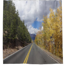 Fall Aspens Shower curtian