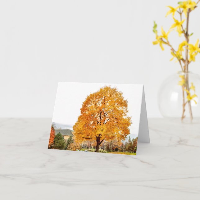 Fall at Blackbird  Card (Yellow Flower)