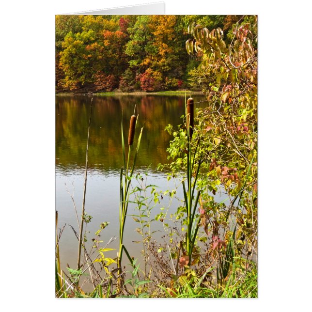 Fall at Farm (Front)
