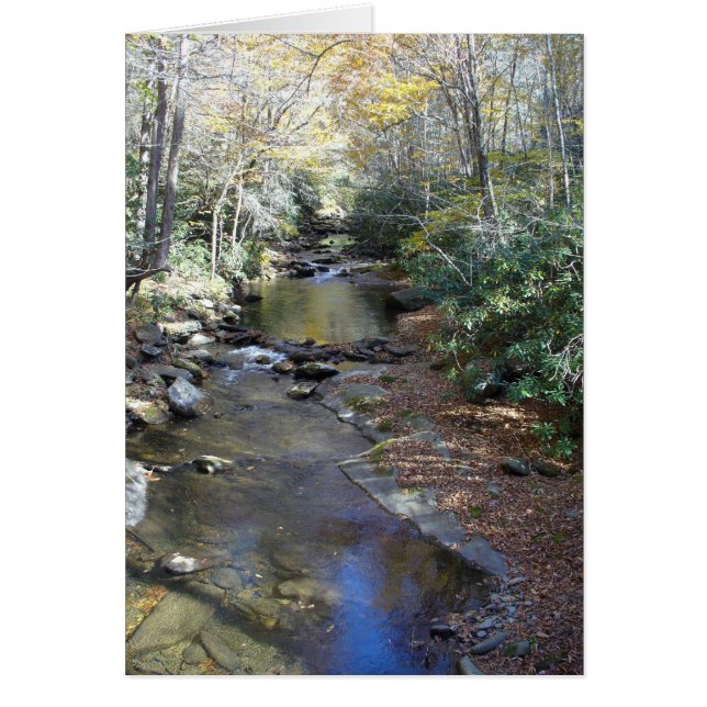 Fall at Fires Creek (Front)