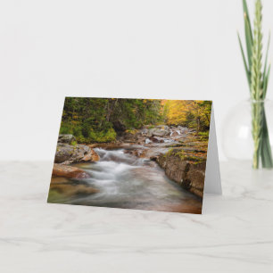 Fall at Jefferson Brook, New Hampshire Card