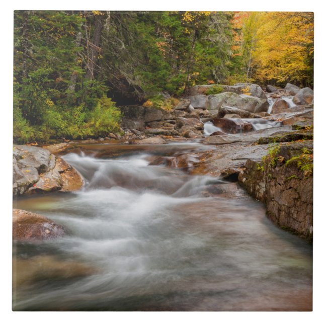 Fall at Jefferson Brook, New Hampshire Ceramic Tile (Front)
