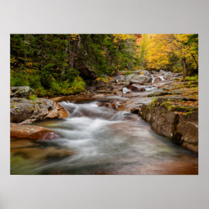 Fall at Jefferson Brook, New Hampshire Poster