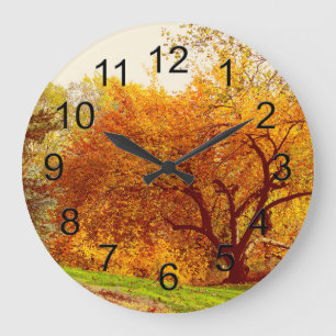Fall Autumn Landscape Photo of Central Park Large Clock