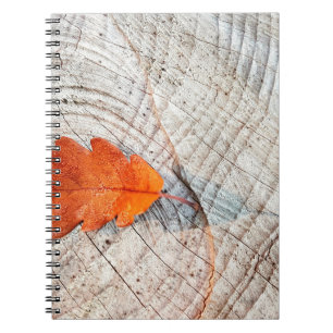 Fall autumn leaves oak leaf wood notebook