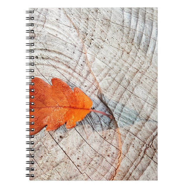 Fall autumn leaves oak leaf wood notebook (Front)