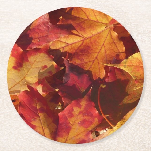 Fall Autumn Leaves Round Paper Coaster (Front)