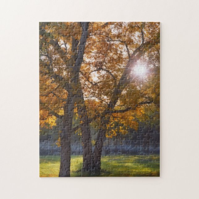 Fall Autumn Season Trees Sunshine Art Puzzle (Vertical)