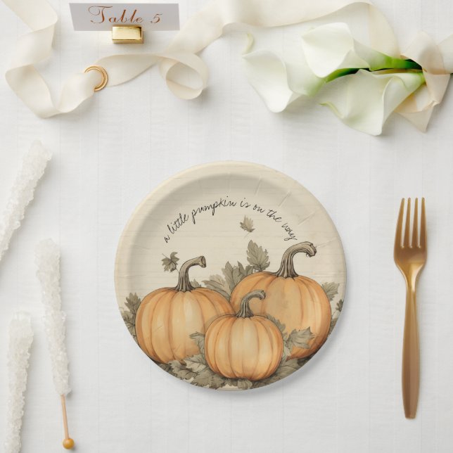 Fall Baby Shower Pumpkin Patch  Paper Plate (Wedding)