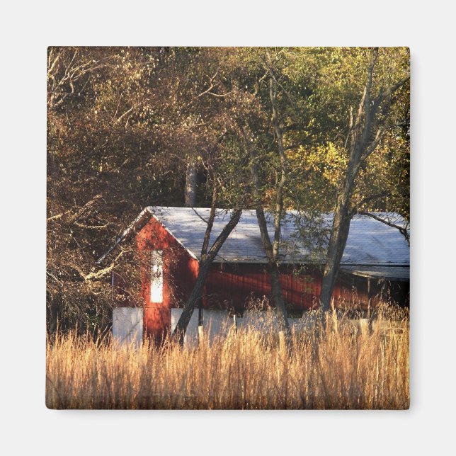 Fall Barn in Central Maryland Magnet (Front)