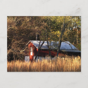 Fall Barn in Central Maryland Postcard