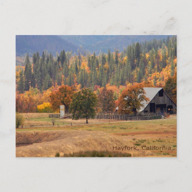 Fall beauty... postcard (Front)