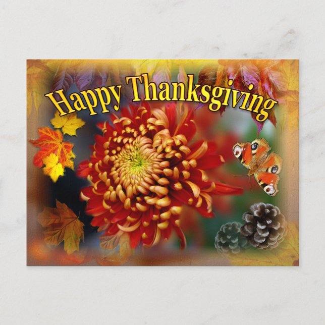 Fall Beauty ~  Thanksgiving Postcard (Front)