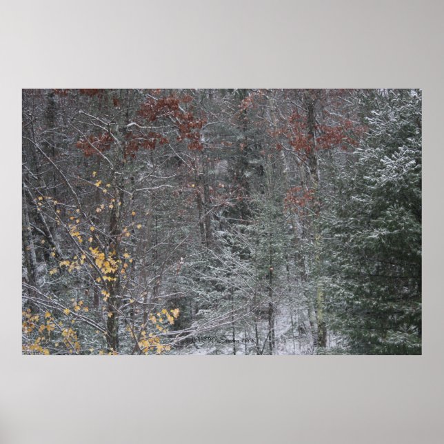 Fall Before Winter Poster (Front)
