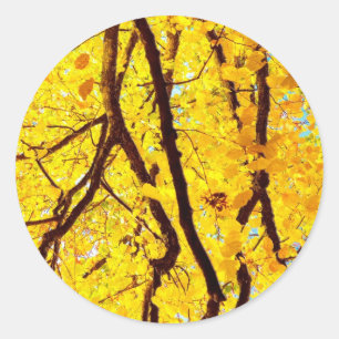 Fall branches - golden yellow classic round sticker