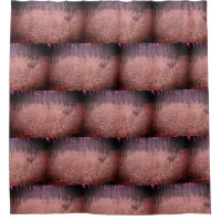 Fall Buck In The Woods Shower Curtain