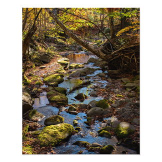 Fall by a Creek in the Catskill Mountains Photo Print