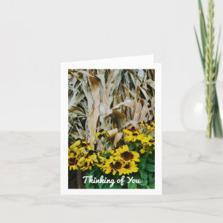 FALL CARDS THINKING OF YOU BLANK NOTES