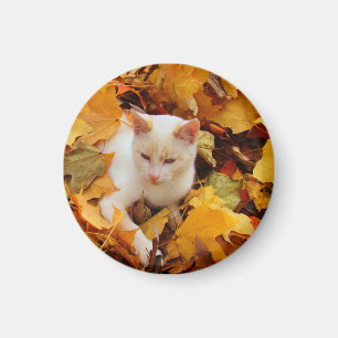 Fall Cat Magnet