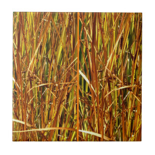Fall Cattails Ceramic Tile