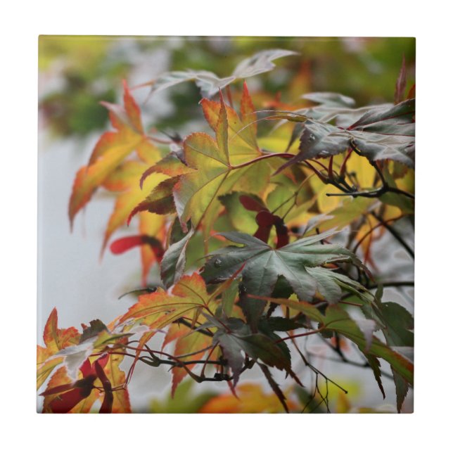 Fall Ceramic Tile (Front)