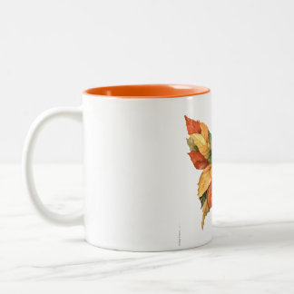 Fall Coffee Mugs