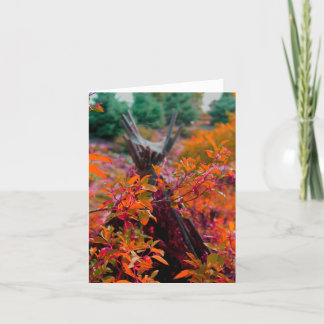 Fall collection note card
