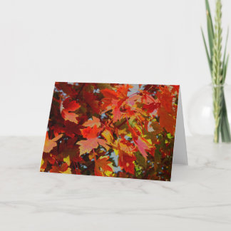 Fall collection note card