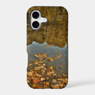 FALL COLORED LEAVES AND ROCKS REFLECTION