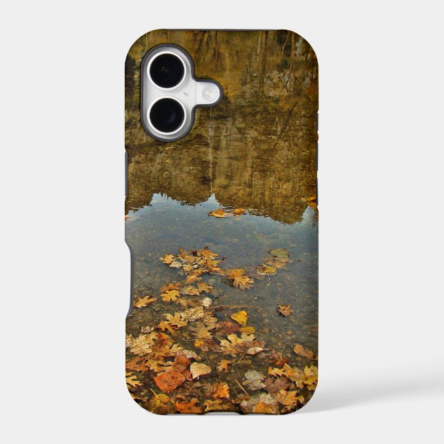 FALL COLORED LEAVES AND ROCKS REFLECTION (Back)