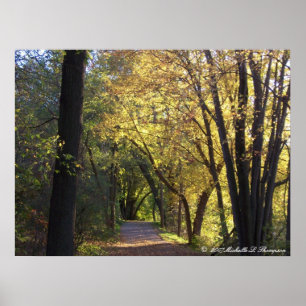 Fall Colored Trail Canvas Print