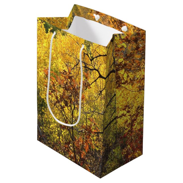 Fall Colors Medium Gift Bag (Front Angled)