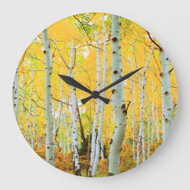 Fall colors of Aspen trees 1 Large Clock (Front)