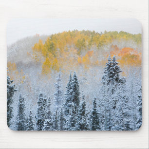 Fall Colors of Aspens & Fresh Snow Keebler Pass Mouse Pad