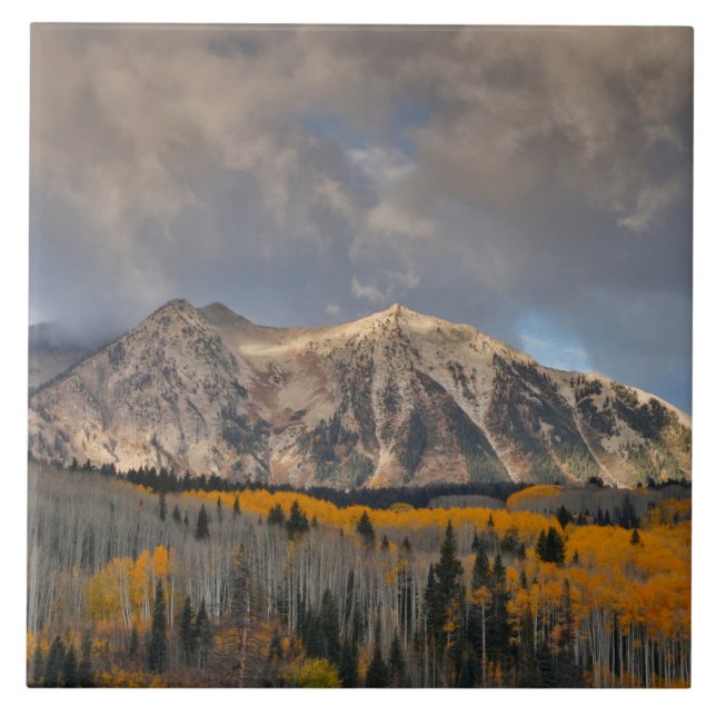 Fall Colors of Aspens, Keebler Pass Ceramic Tile (Front)