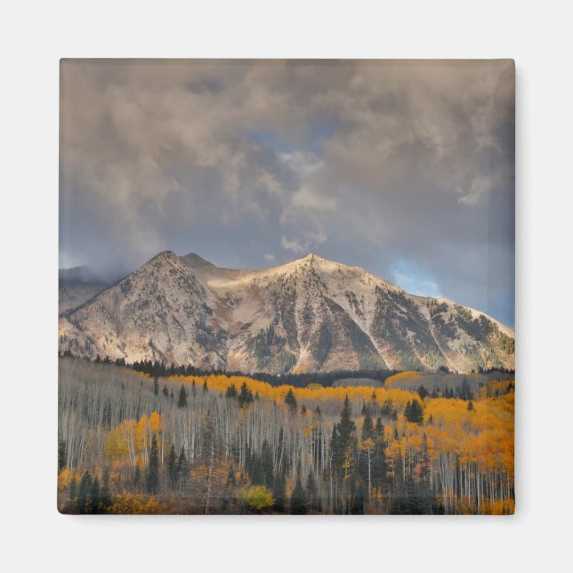 Fall Colors of Aspens, Keebler Pass Magnet (Front)