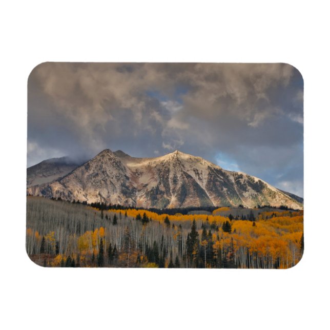Fall Colors of Aspens, Keebler Pass Magnet (Horizontal)