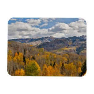 Fall Colors of Aspens & Oaks Keebler Pass Magnet