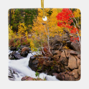 Fall colour along Bishop Creek, CA Ceramic Ornament