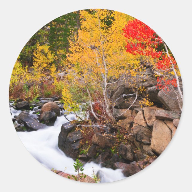 Fall colour along Bishop Creek, CA Classic Round Sticker (Front)