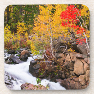 Fall colour along Bishop Creek, CA Coaster