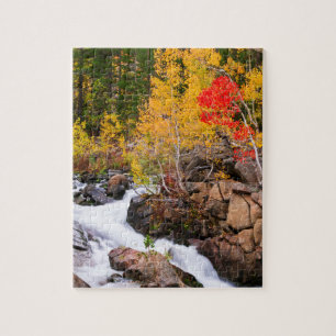 Fall colour along Bishop Creek, CA Jigsaw Puzzle