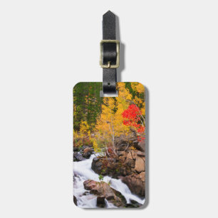 Fall colour along Bishop Creek, CA Luggage Tag
