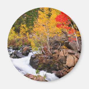 Fall colour along Bishop Creek, CA Magnet