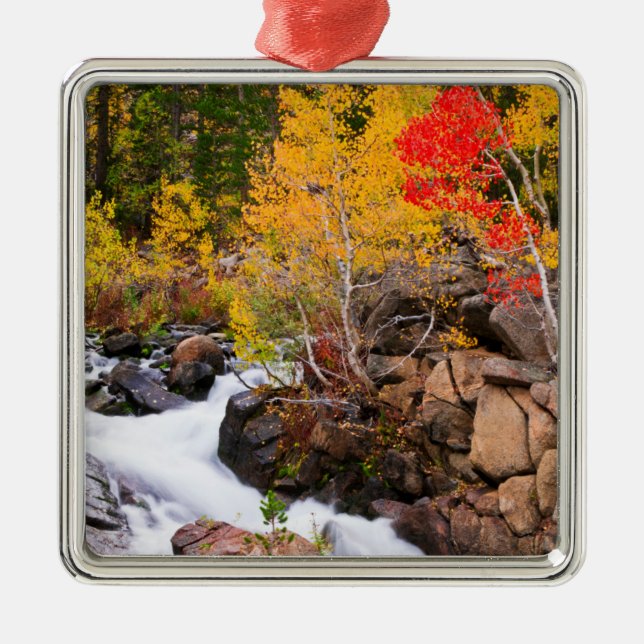 Fall colour along Bishop Creek, CA Metal Ornament (Front)