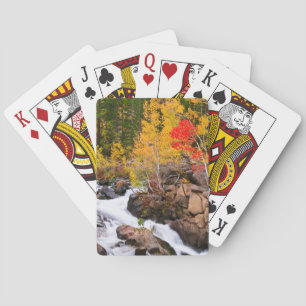 Fall colour along Bishop Creek, CA Playing Cards