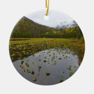 Fall Colour at Cub Lake Ceramic Ornament