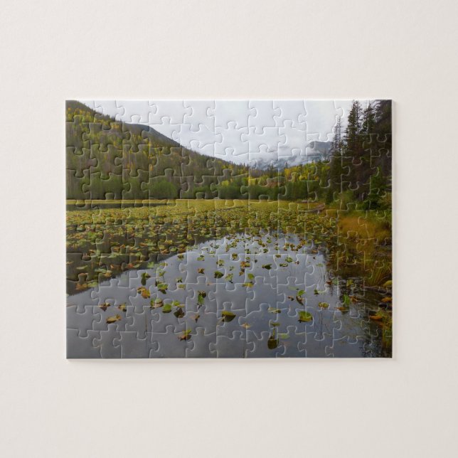 Fall Colour at Cub Lake Jigsaw Puzzle (Horizontal)