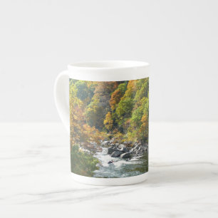 Fall Colour at Ohiopyle State Park Bone China Mug