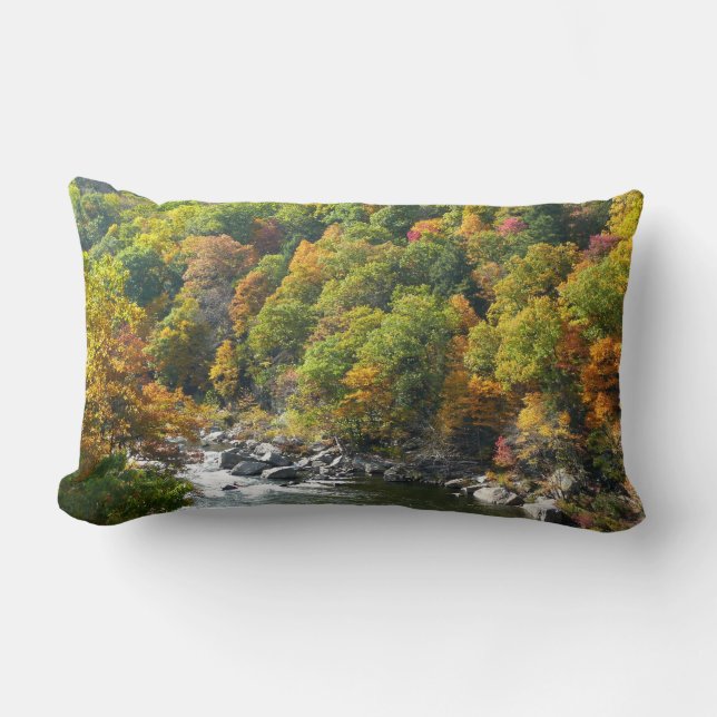 Fall Colour at Ohiopyle State Park Lumbar Cushion (Front)